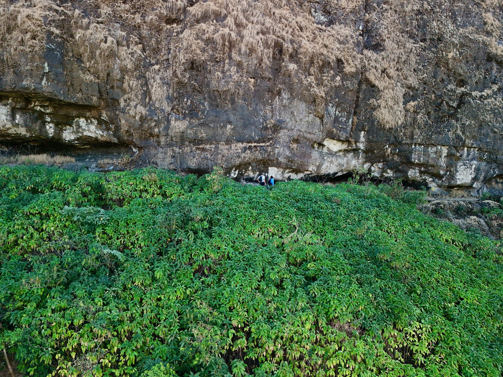 Bhaskargad