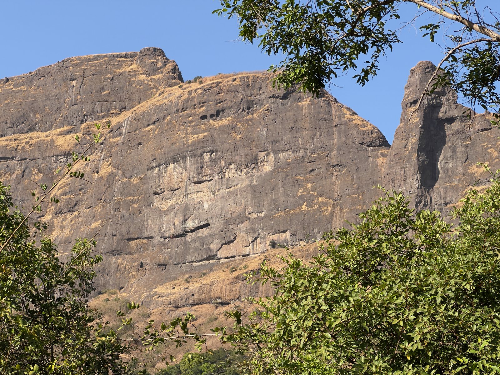 Dhak Bahiri