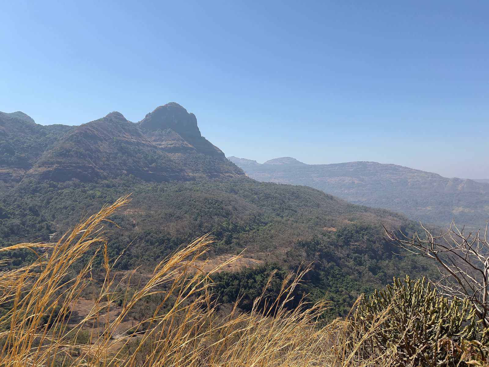 Dhak Bahiri