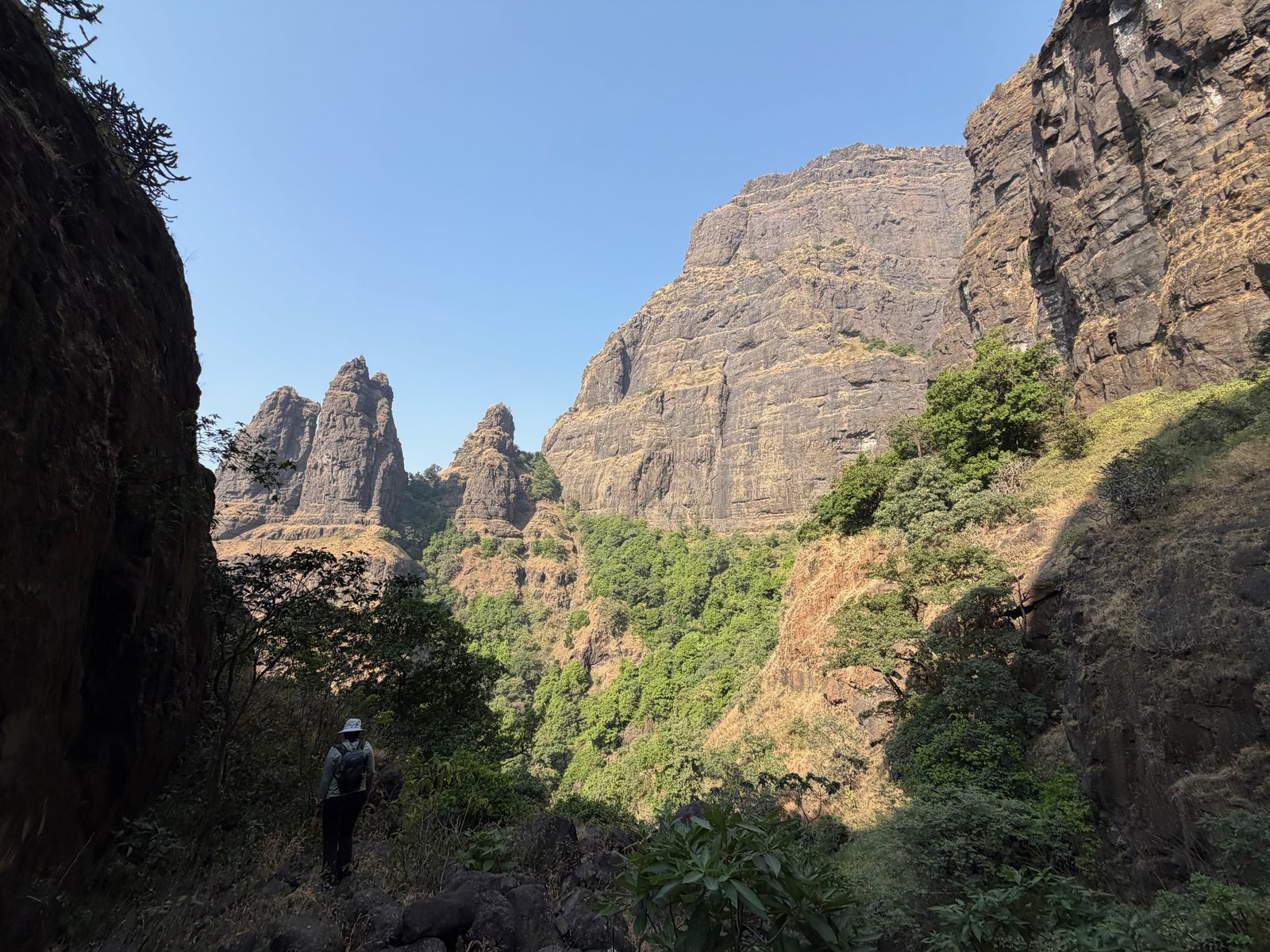 Ghodepanyachi Naal