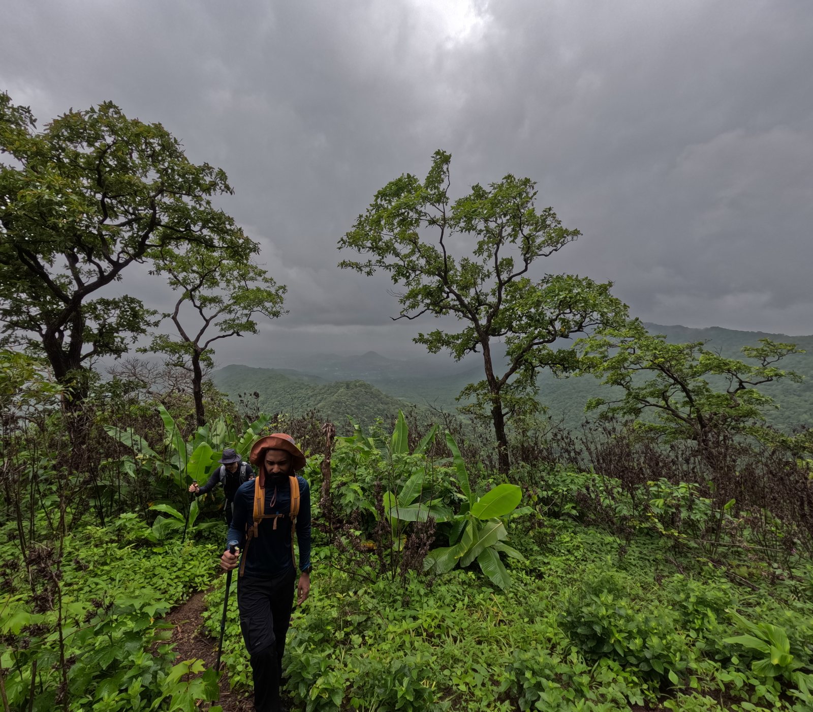 Gumtara