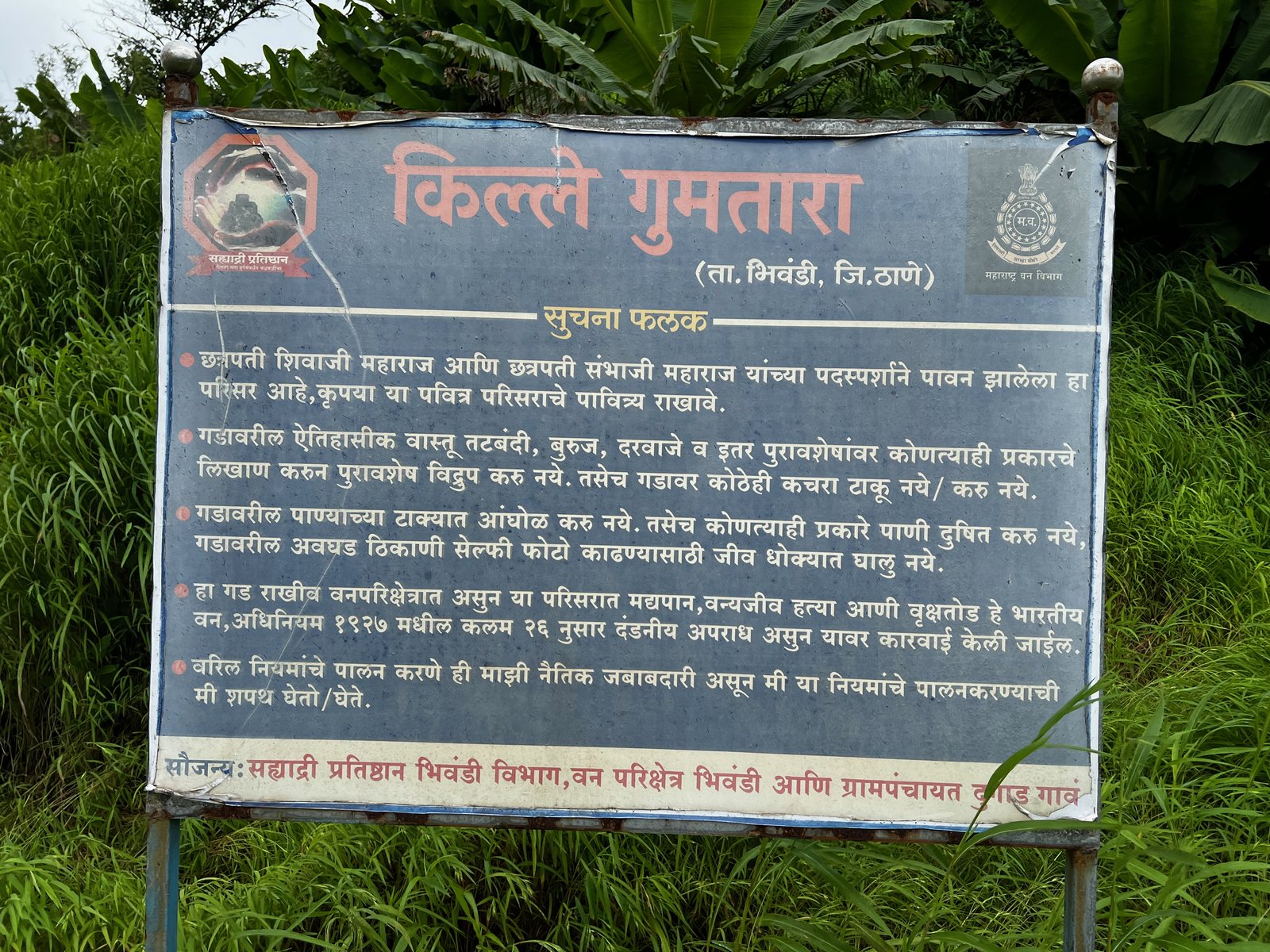 Gumtara