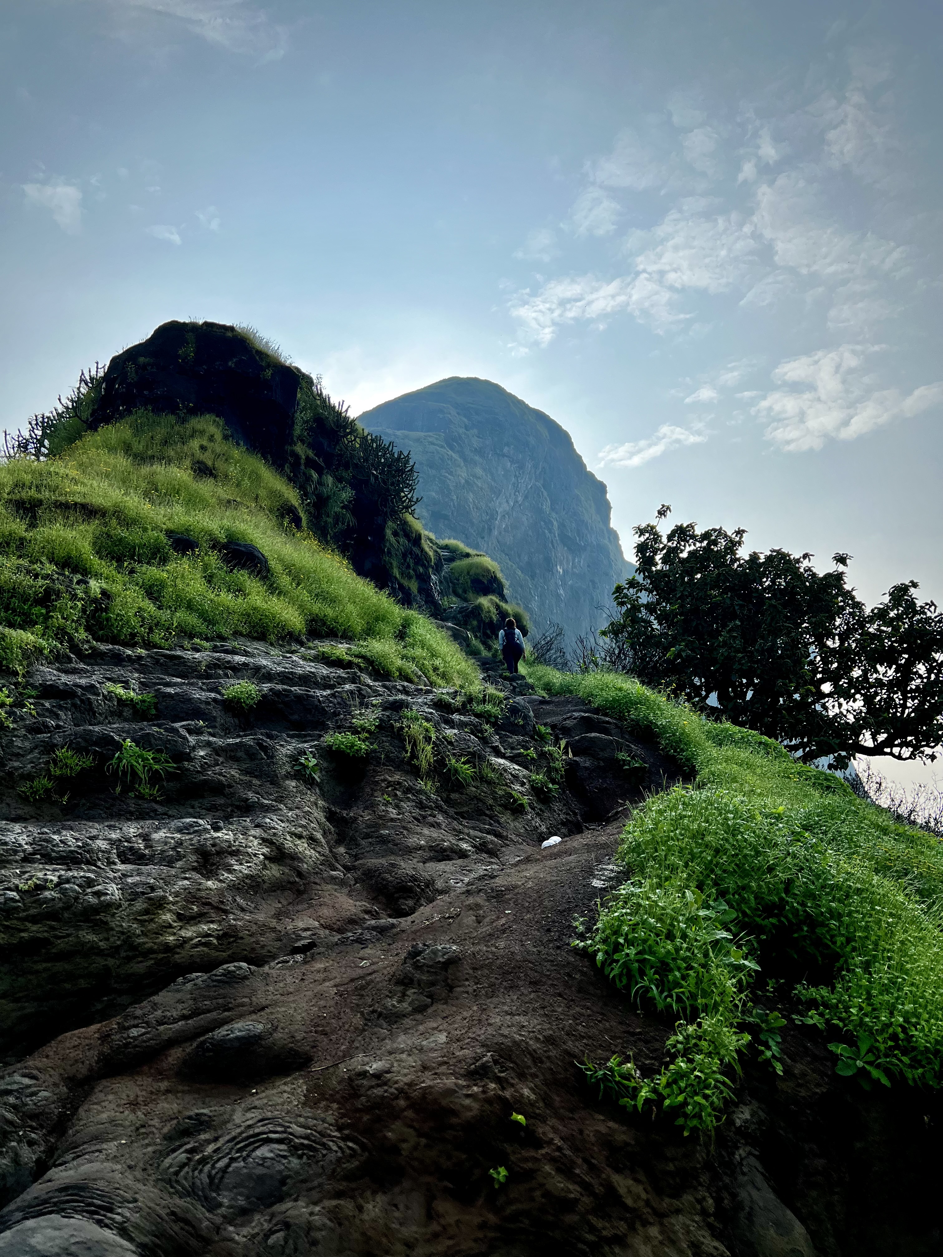 Harihar