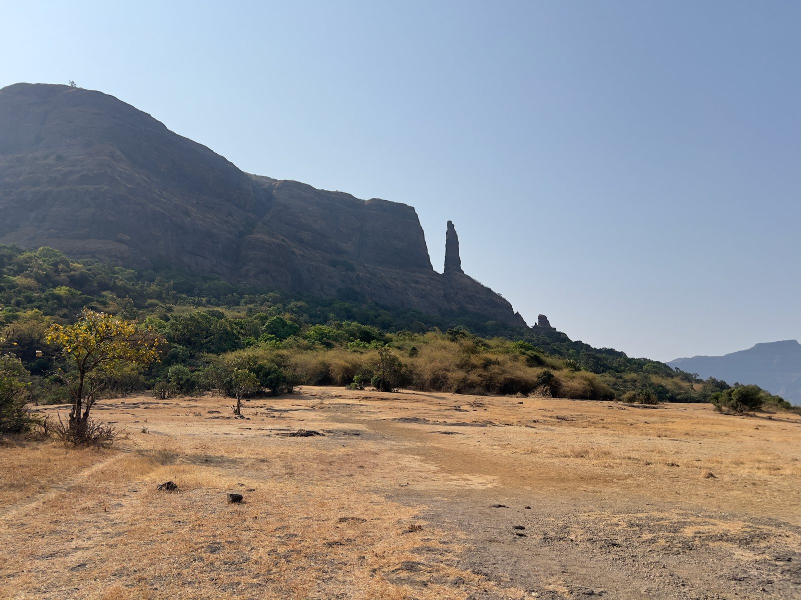 Jivdhan