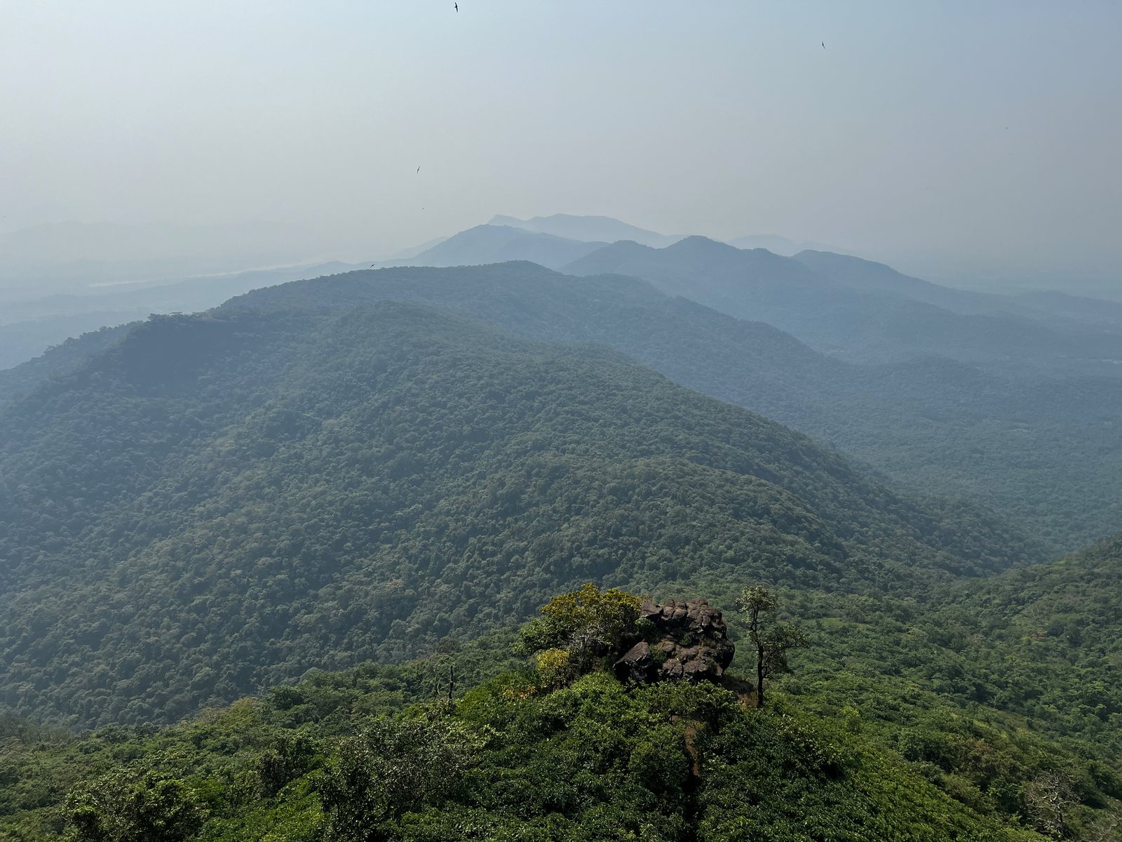 Kaldurg