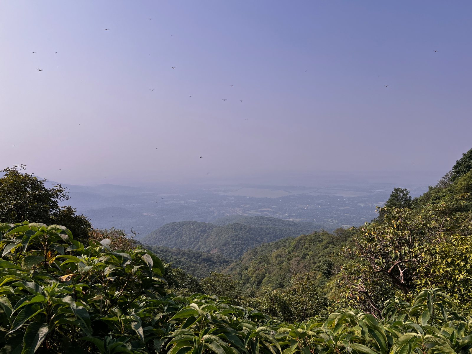 Kaldurg