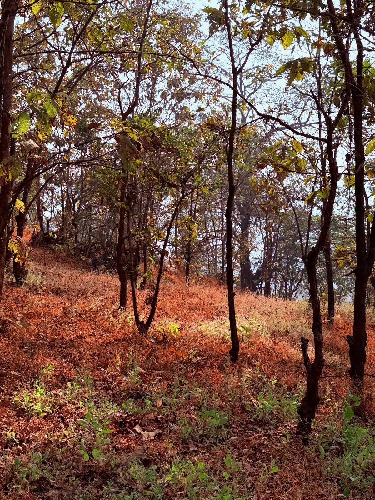 Khandsamble Caves