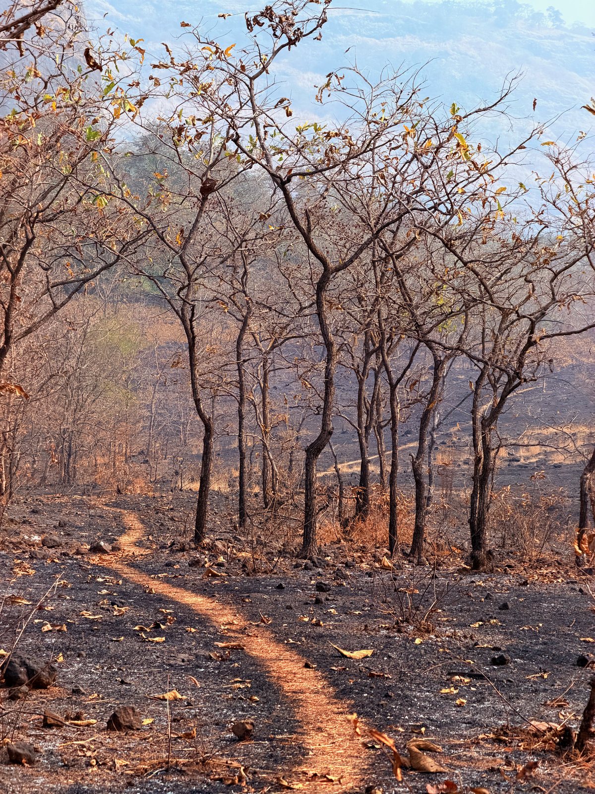 Khandsamble Caves