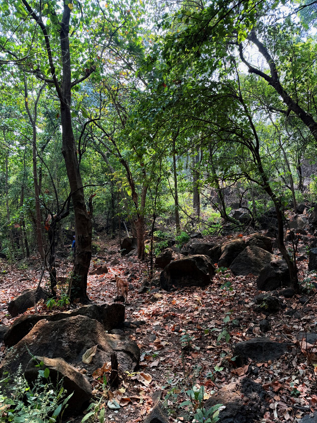 Khandsamble Caves