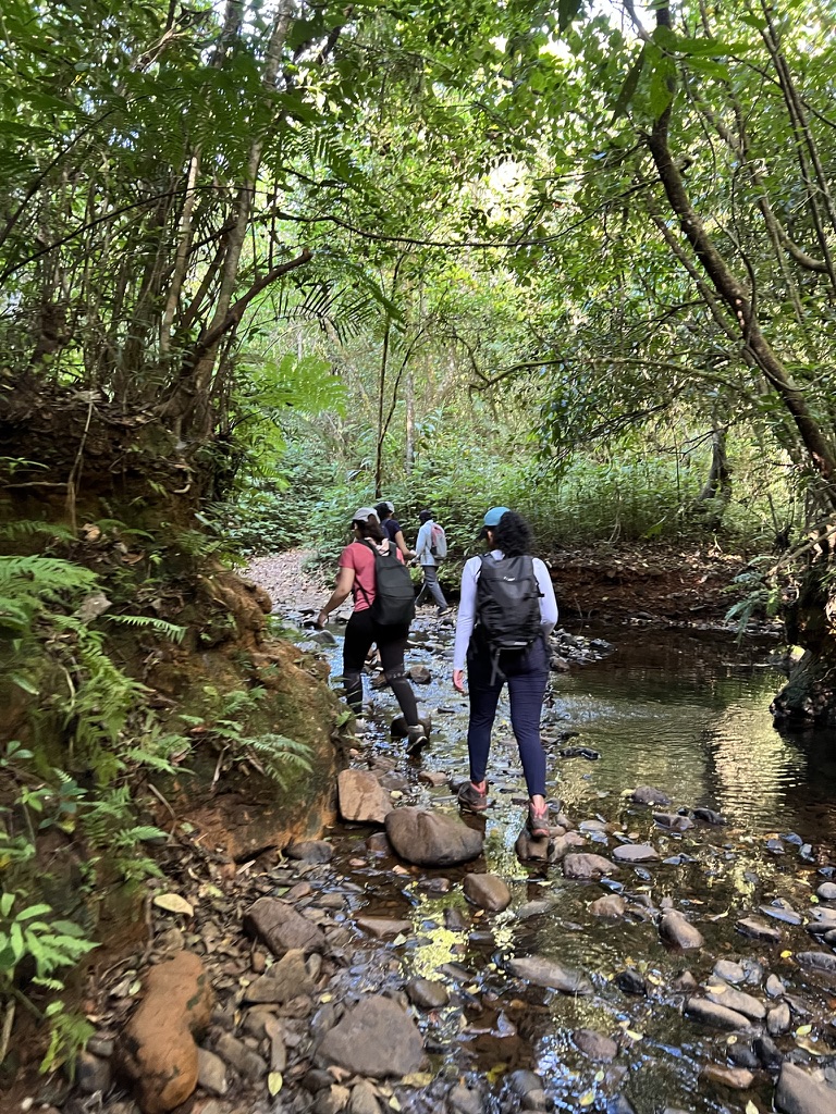 Kudremukh