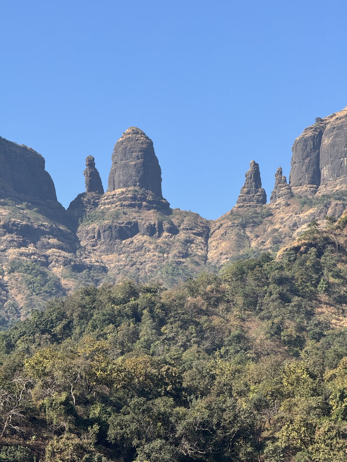Mahuli