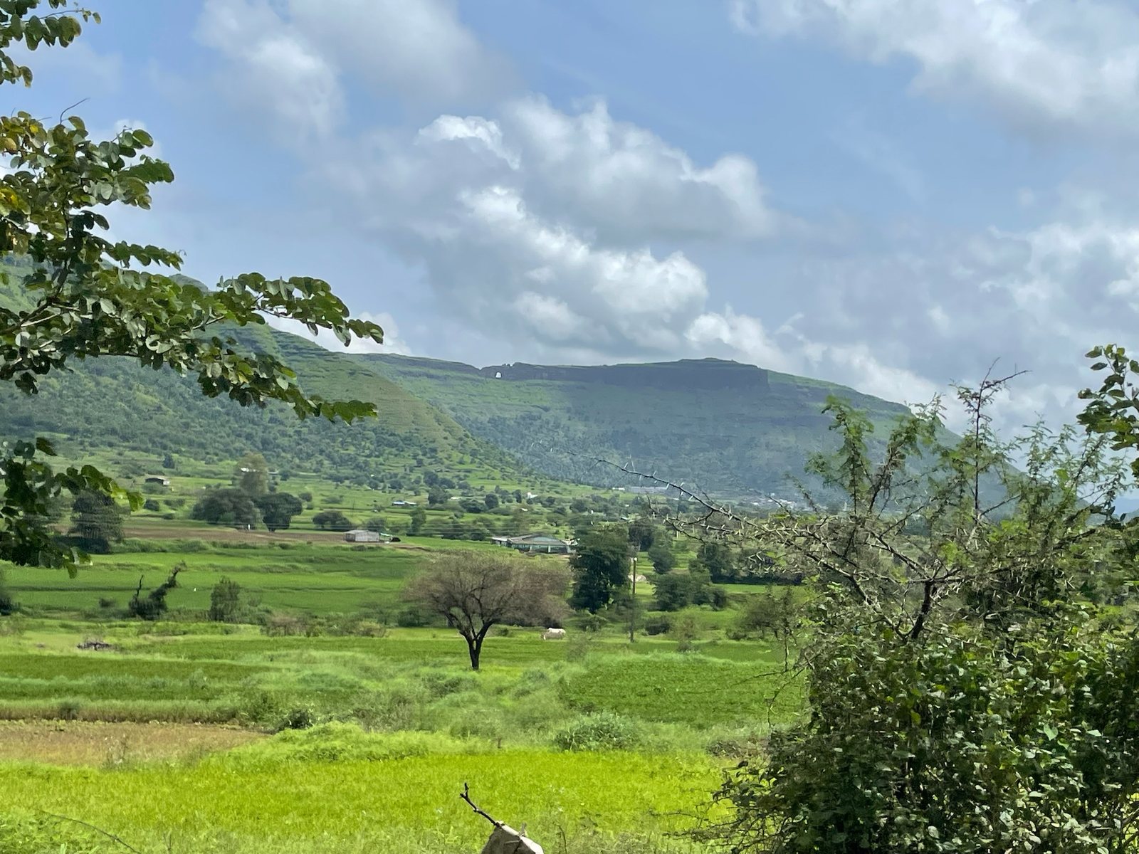 Mohandar