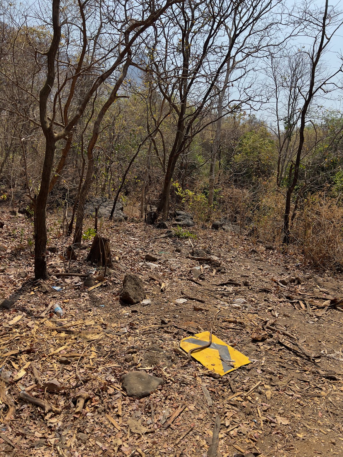 Naneghat