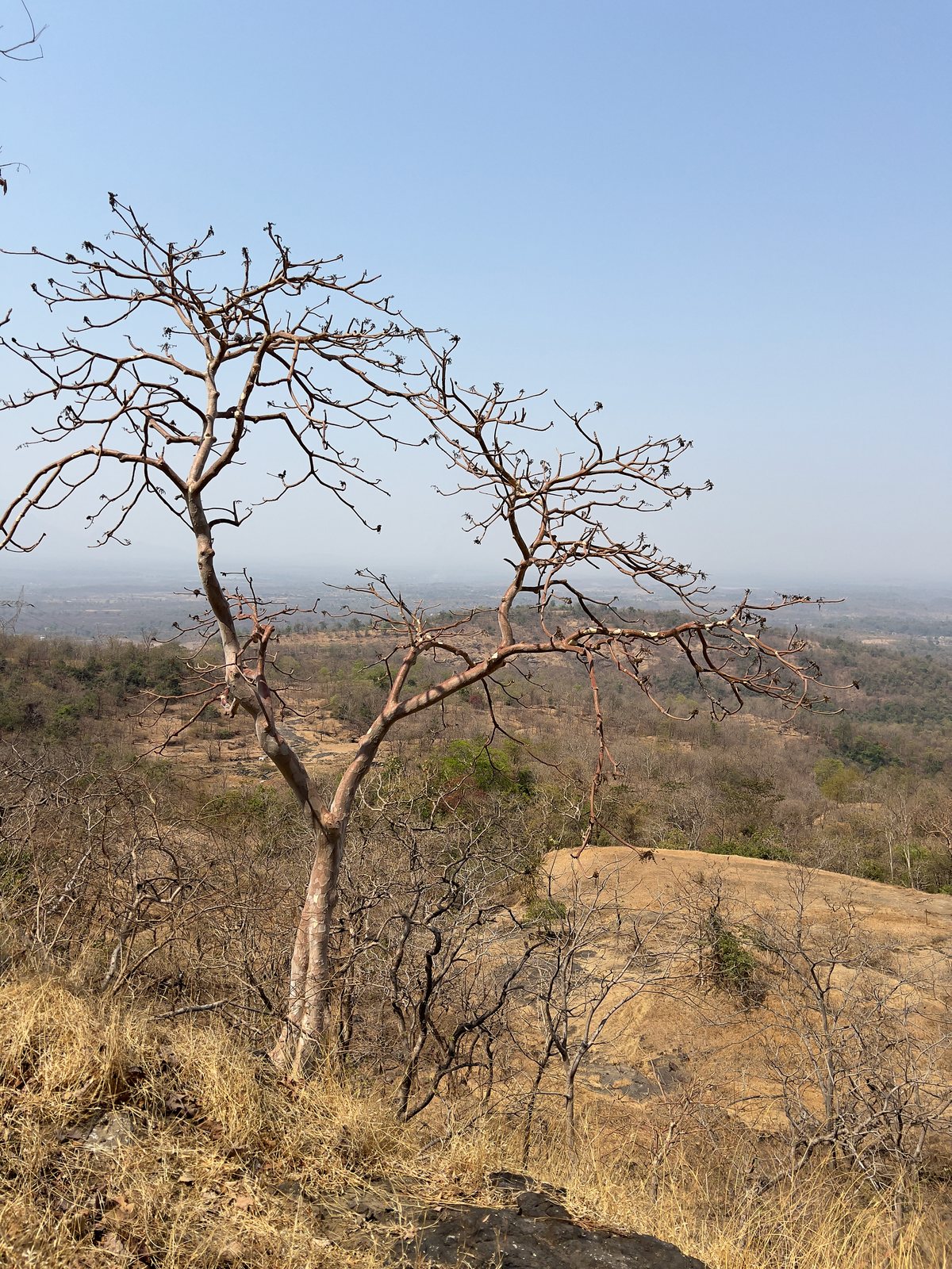 Naneghat