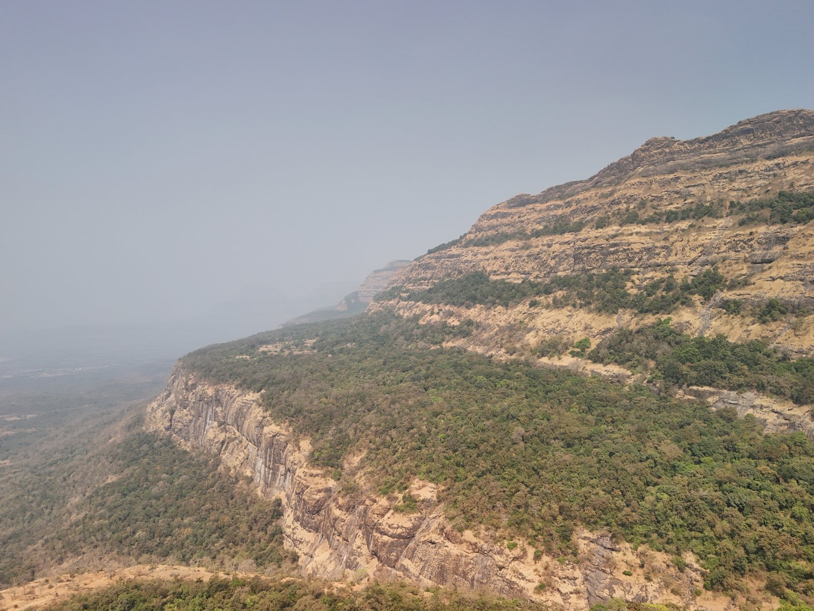 Padargad