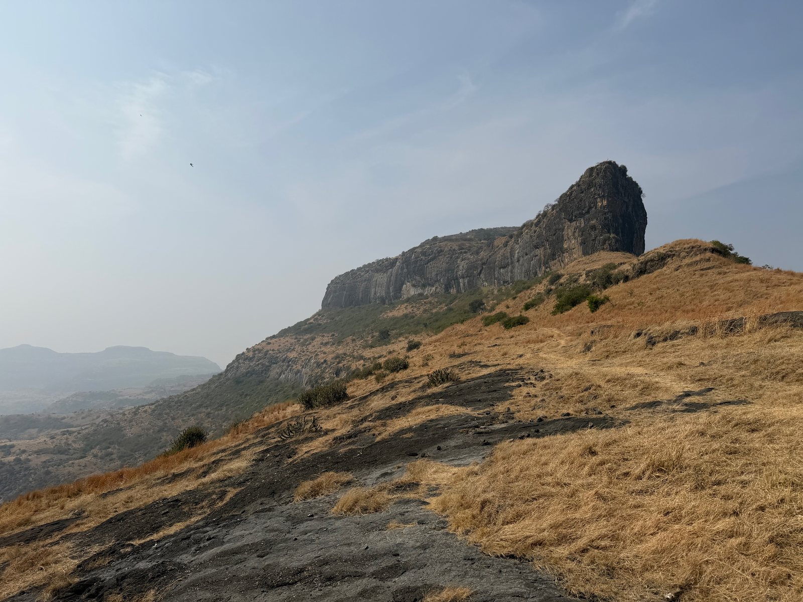 Rajdher