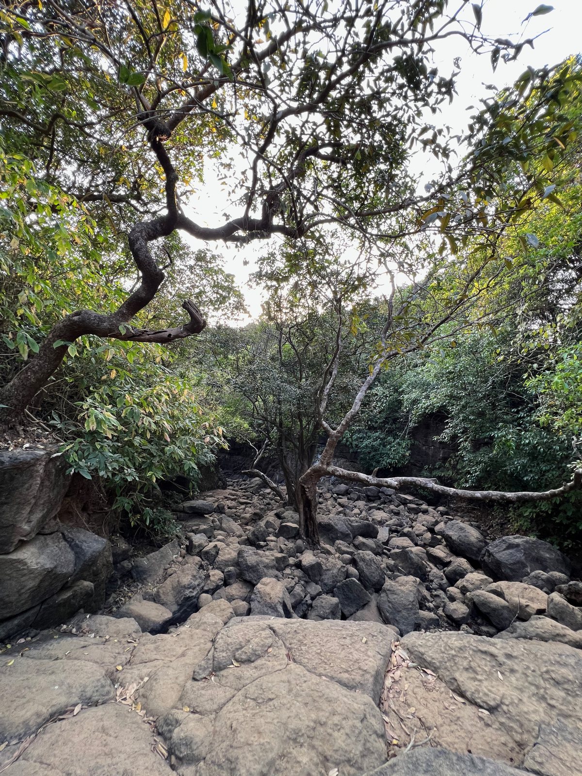 Sandhan Valley