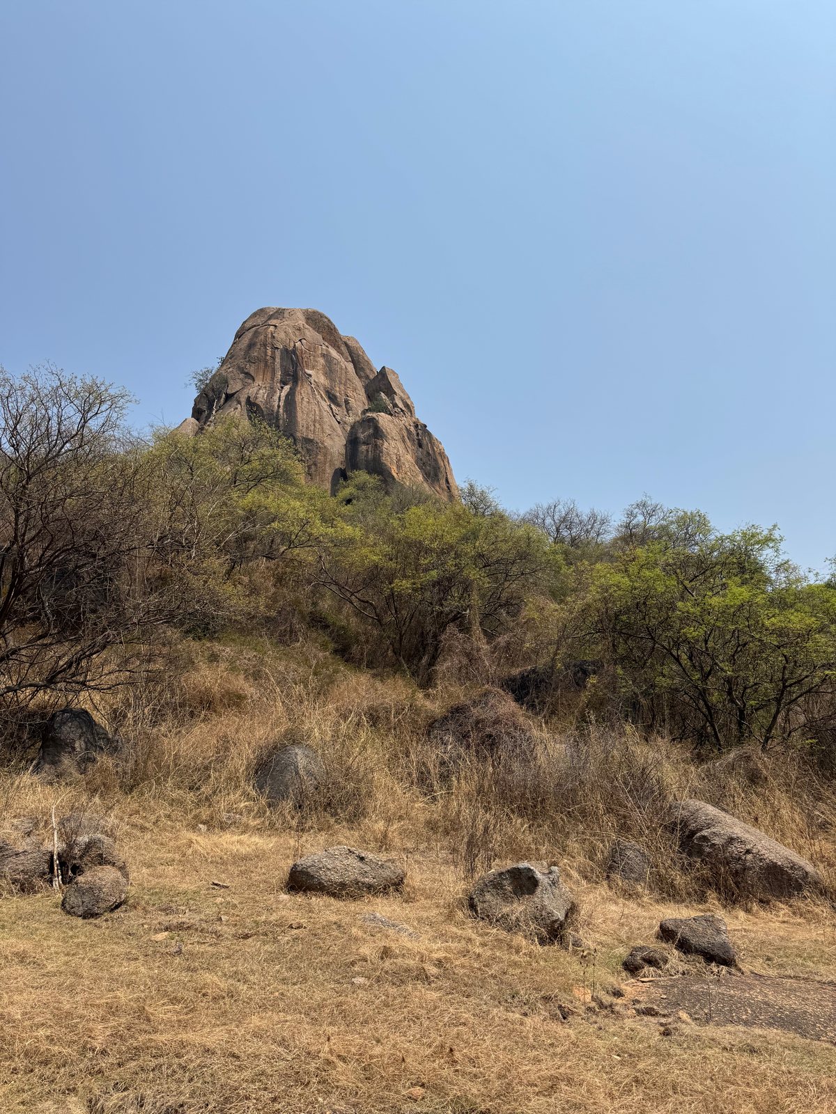Savandurga