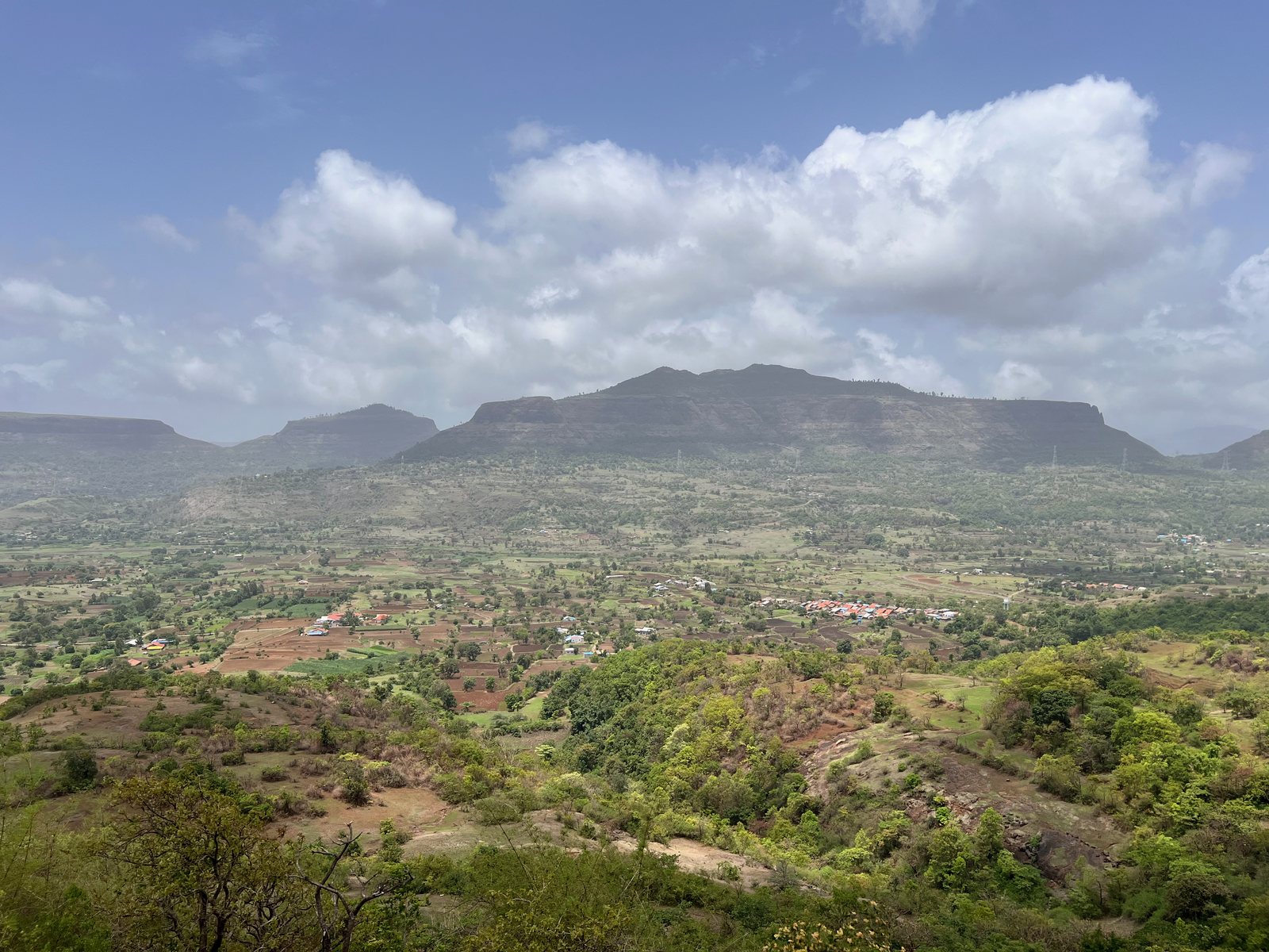 Sindola