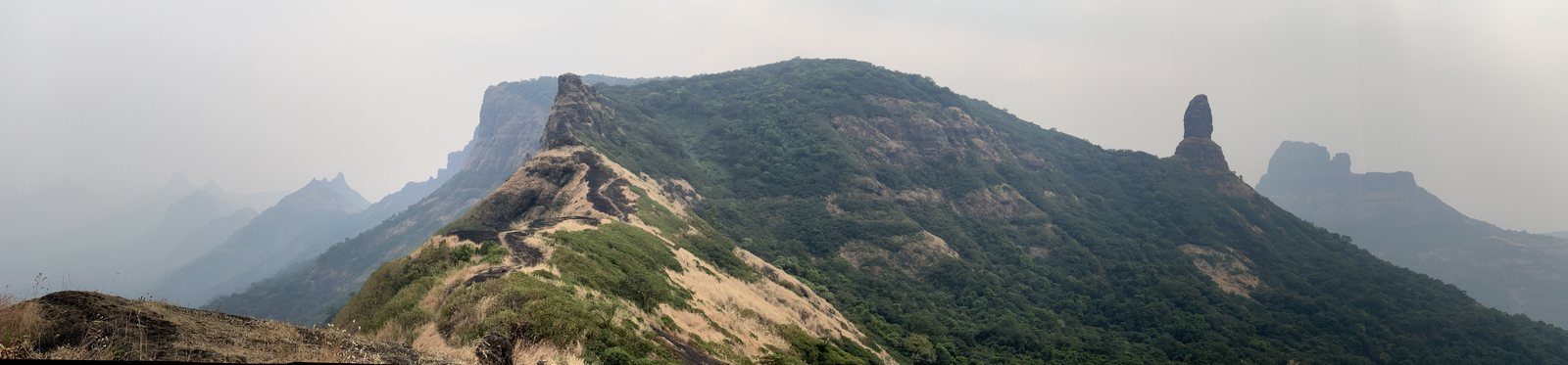 Tahuli