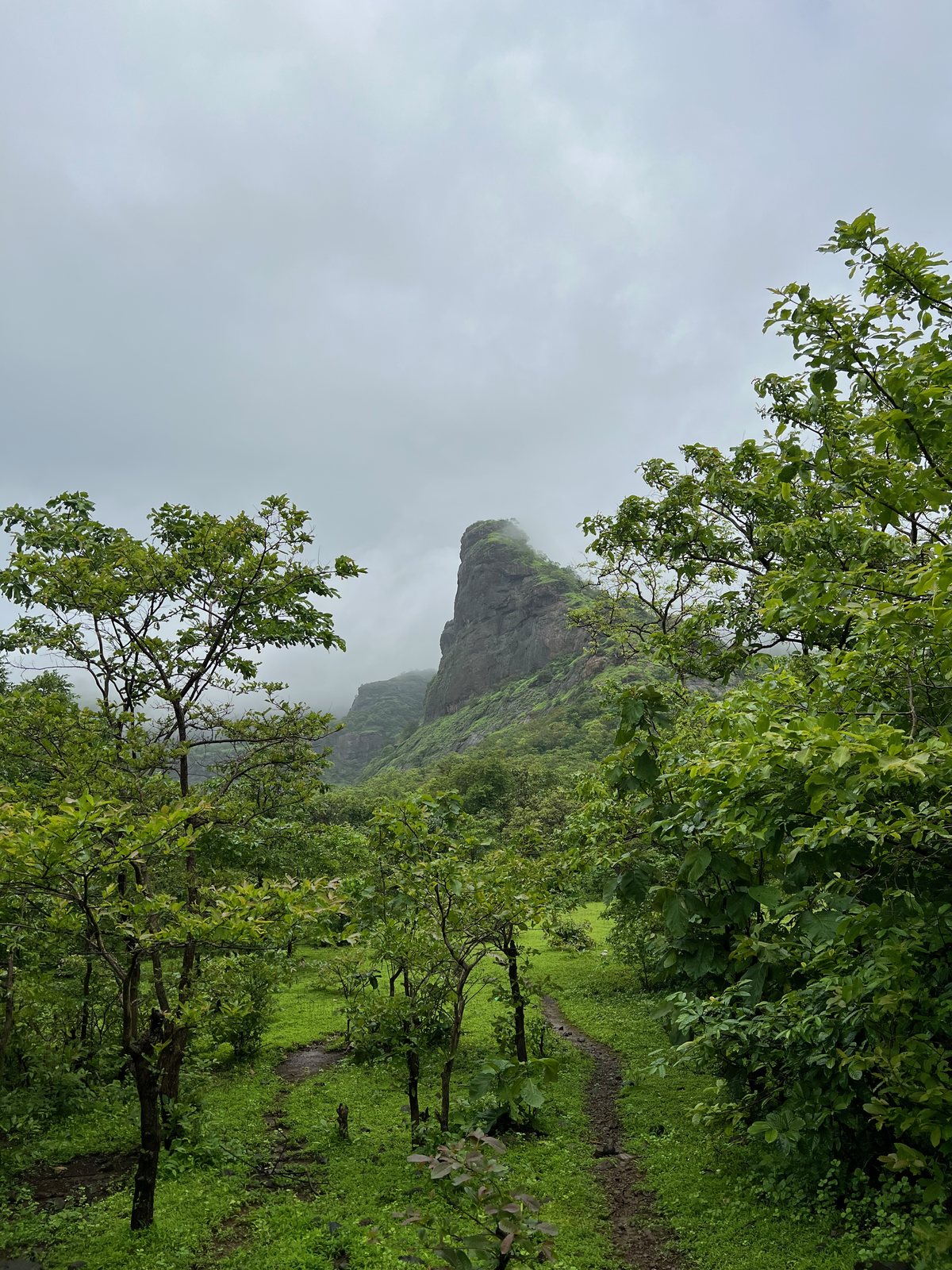 Tandulwadi