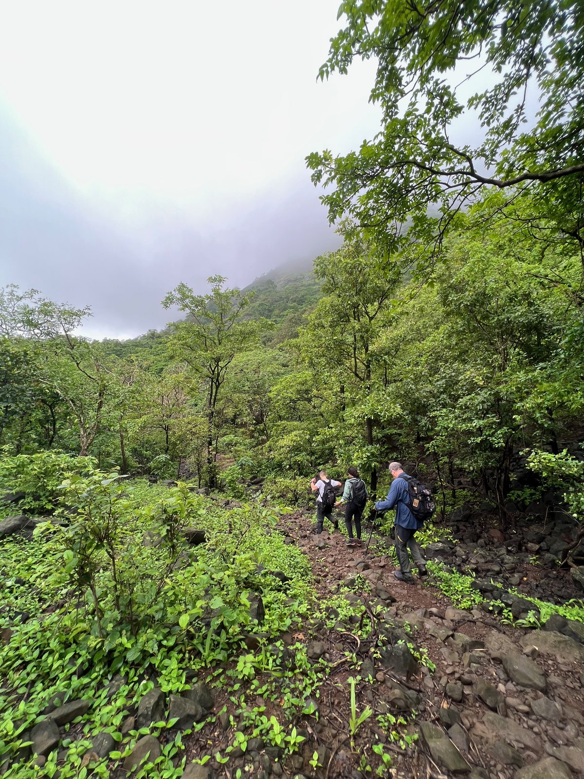 Tandulwadi