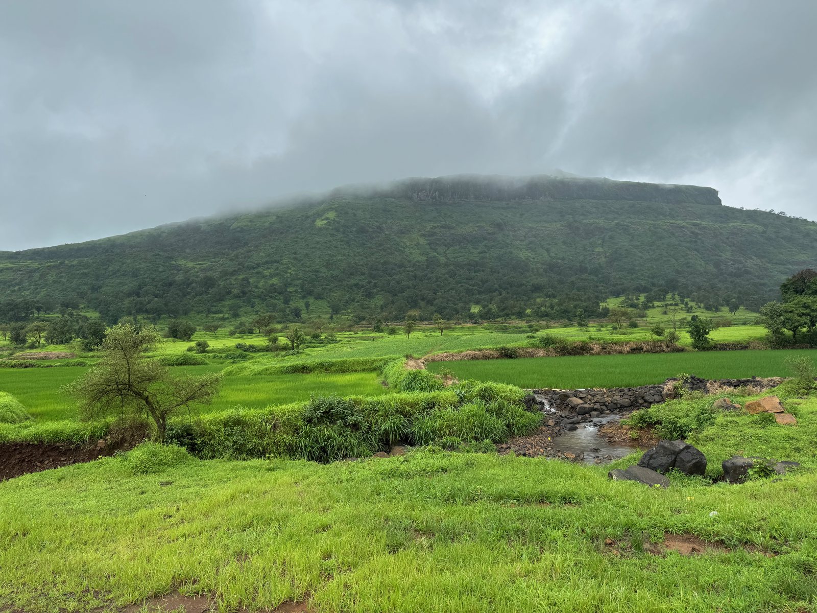 Tringalwadi